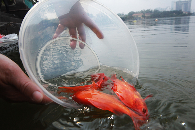 Hướng dẫn chi tiết cách cúng ông công ông táo ngày 23 tháng chạp theo truyền thống Việt