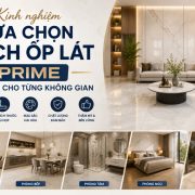 Kinh nghiệm lựa chọn gạch ốp lát Prime phù hợp cho từng không gian