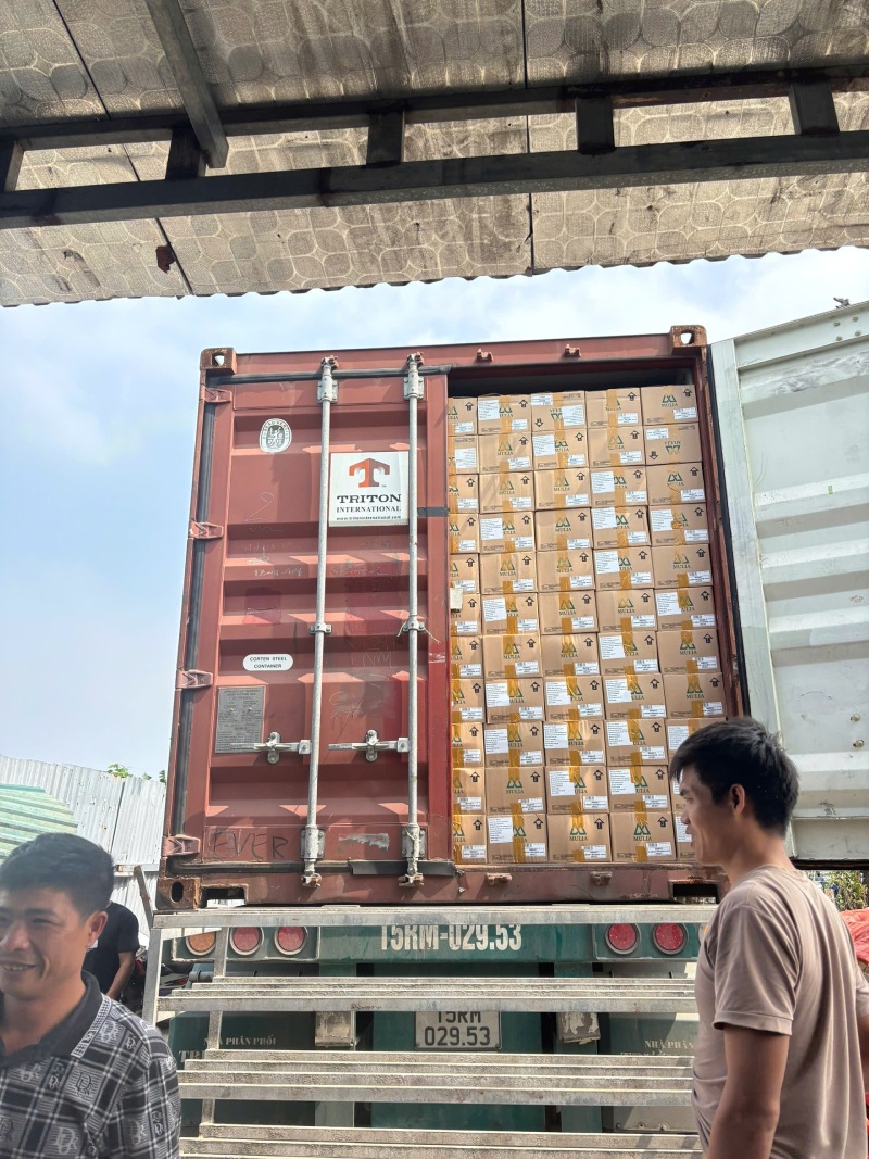 Gạch kính lấy sáng Newlando cấp dự án trại gà KCN Becamex Đồng Nai